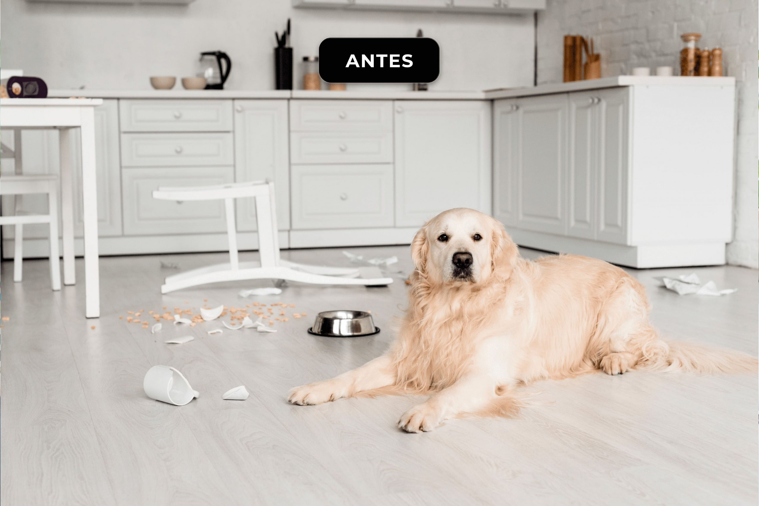foto-antes-fotografia
